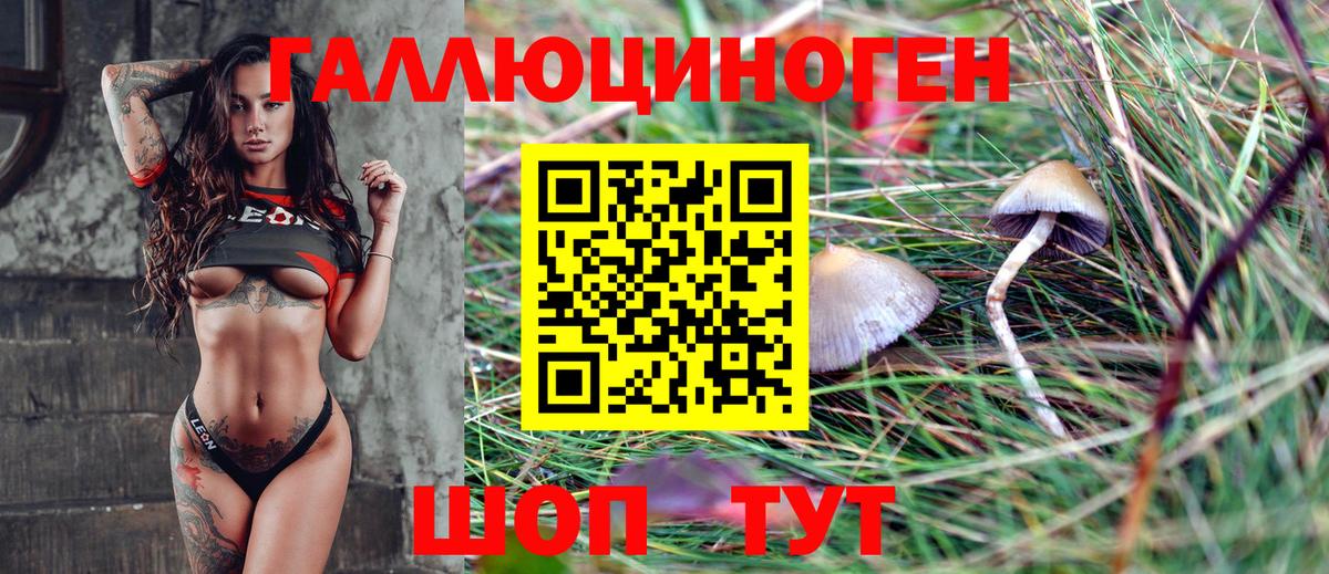 Псилоцибиновые грибы мицелий Керчь
